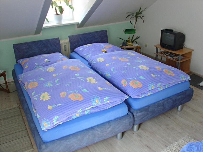 Hotel-Pension Koenigswald دريسدن الغرفة الصورة